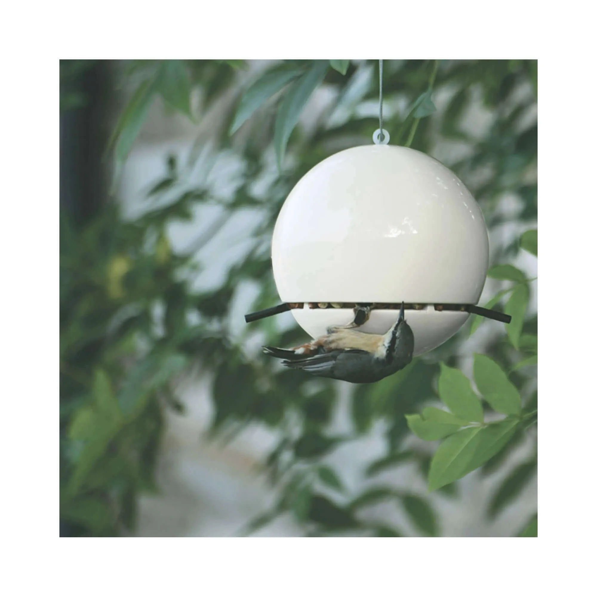 Green&Blue Birdball Peanut Bird Feeder